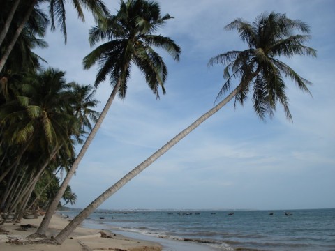 2007_vietnam_16_17_tb_010_900