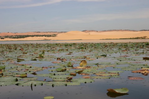 2007_vietnam_16_17_tb_018_900