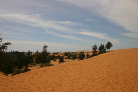 2007_vietnam_16_17_tb_022_900