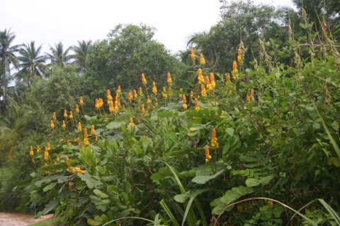 2007_vietnam_16_17_tb_029_900