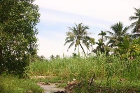 2007_vietnam_16_17_tb_033_900