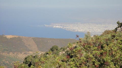 2010_aida_4_030_900