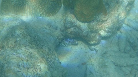 2012_aida_6_008_900