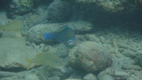 2012_aida_6_011_900