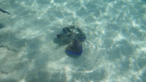 2012_aida_6_013_900