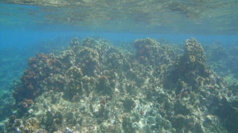 2012_aida_6_018_900