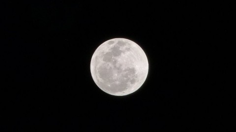 2012_aida_11_010_900
