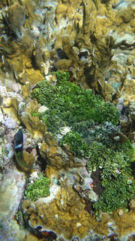 2012_aida_12_007_900