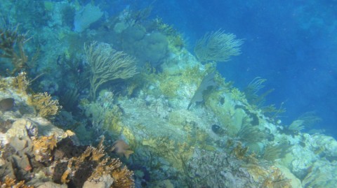 2012_aida_12_009_900