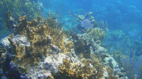 2012_aida_12_014_900