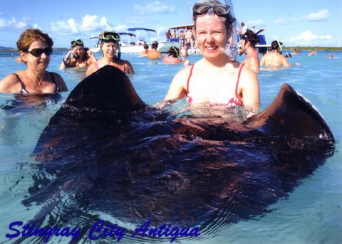 2012_aida_13_010_900