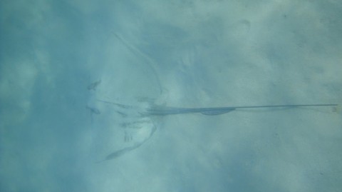 2012_aida_13_017_900