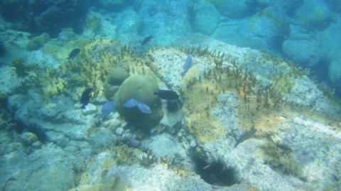2012_aida_14_017_900