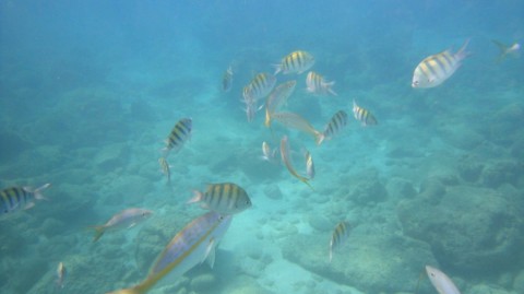 2012_aida_14_018_900