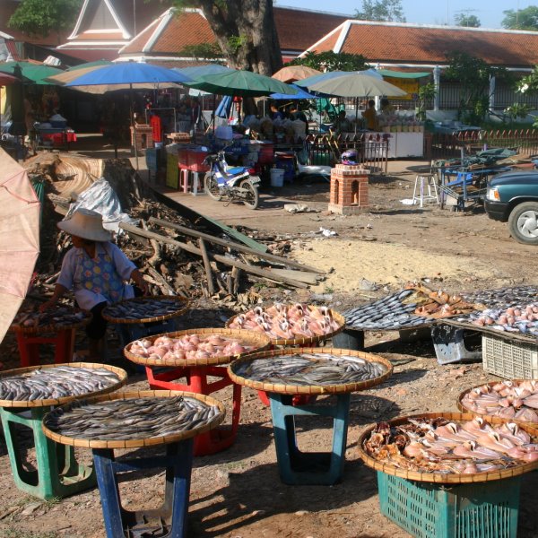 Thailand Rundreise 8/18 : Nakhon, Besuch eines Frischmarkts