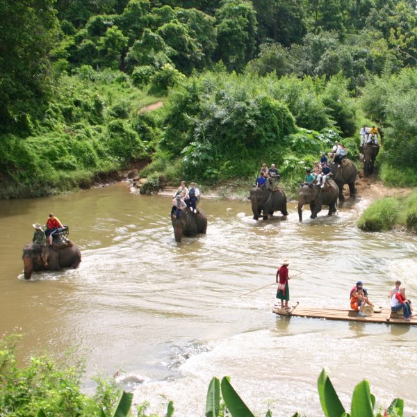 Thailand Rundreise 15/18: Chiang Mai, das Elefantencamp